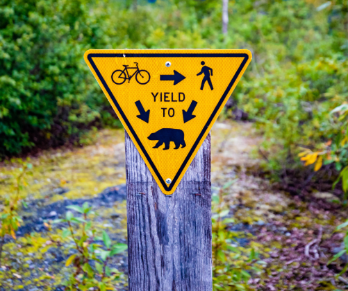 Bear crossing sign 