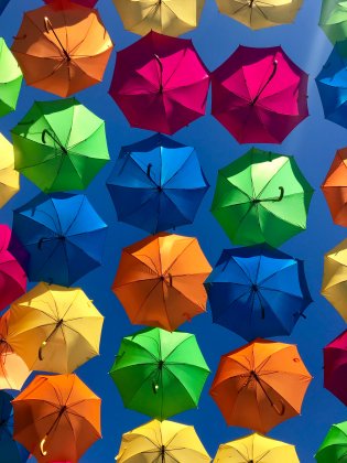 Umbrella Photo by XiaoXiao Sun on Unsplash