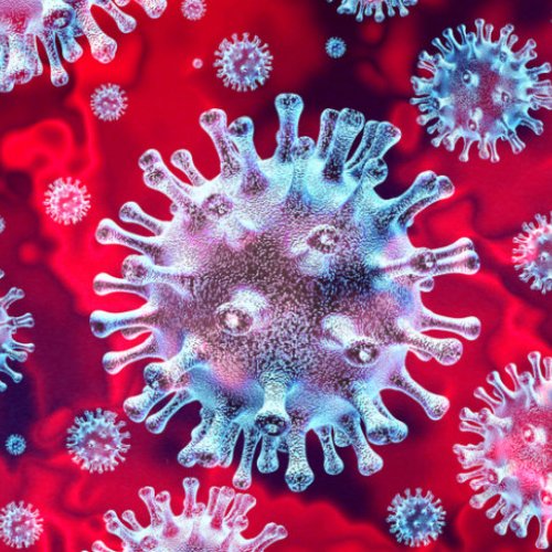 microscopic coronavirus