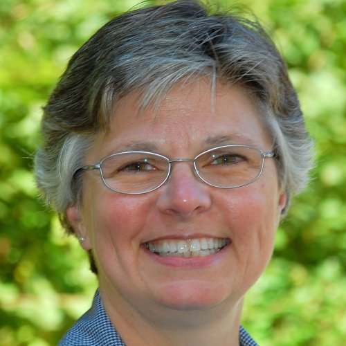 Susan Fields, LICSW